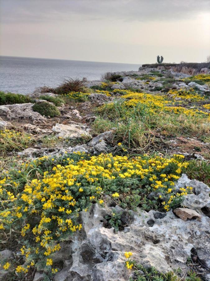 Grupoandria Villa Julia Cala en Forcat Εξωτερικό φωτογραφία